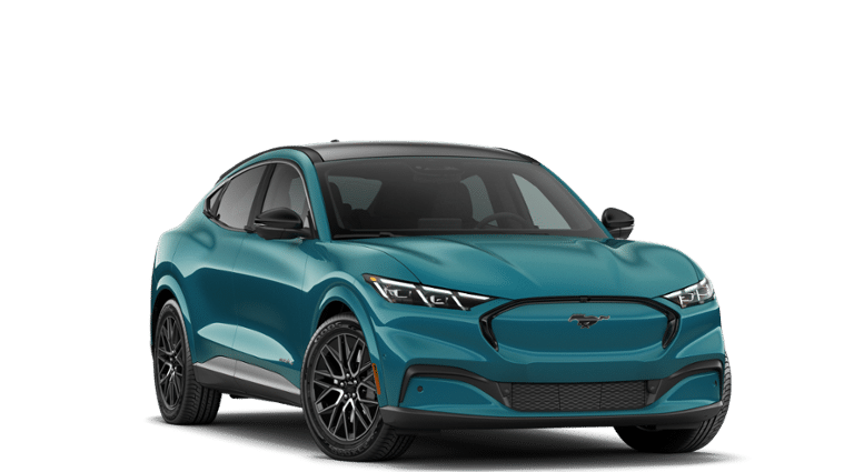 Mustang Mach-E® vehicle